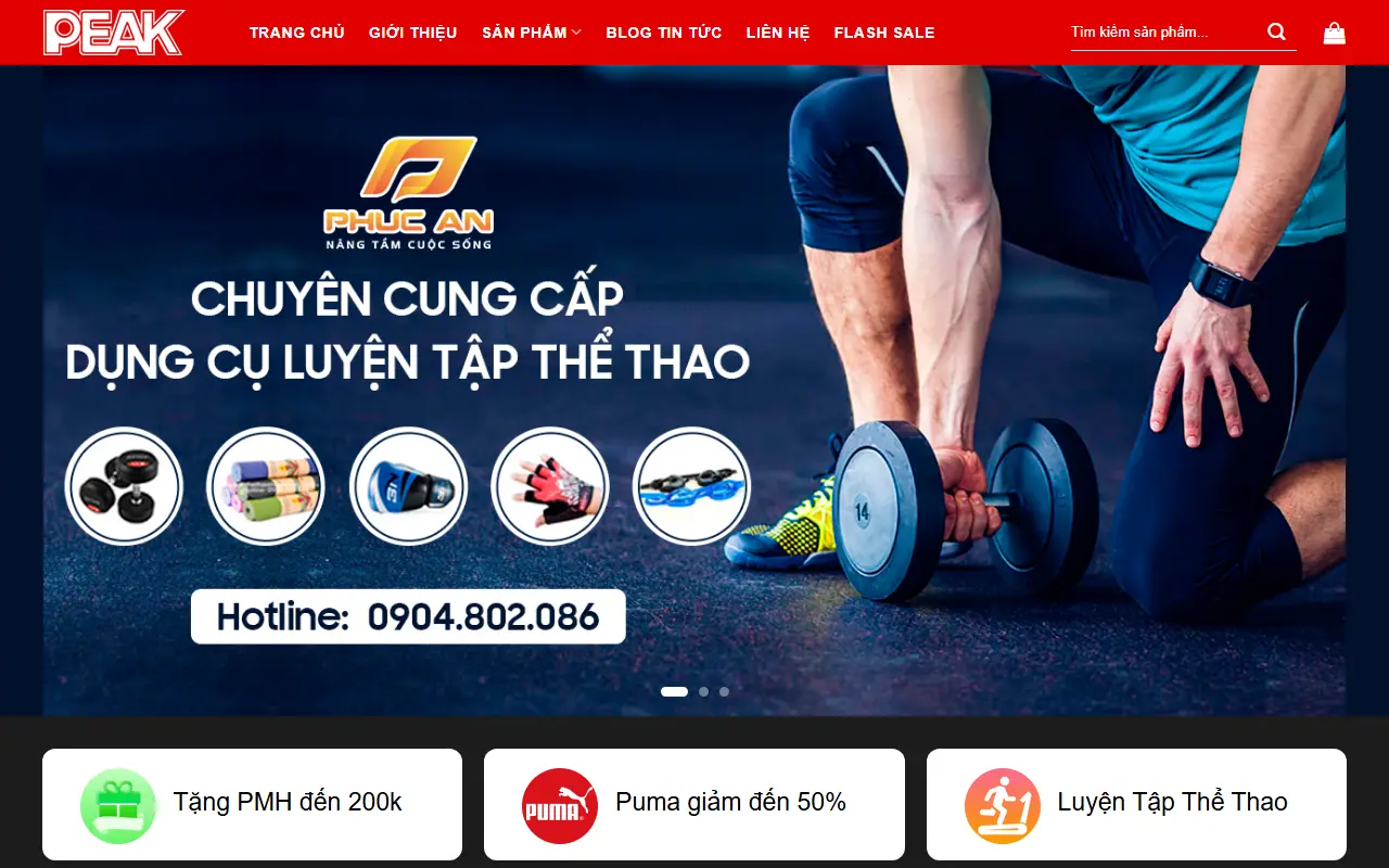 Mẫu website giày dép — Mẫu web bán giày dép thể thao